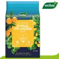 Produktbild: Westland 8 l Torffreie Zitruserde Erde Garten Zitrone Orange Wachstum Seramis