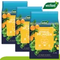 Produktbild: Westland 3 x8 l Torffreie Zitruserde Erde Garten Zitrone Orange Wachstum Seramis