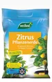 Produktbild: Westland Zitrus Erde TF, 8 l 🍋🍊🍋‍🟩