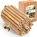 Produktbild: BEESI 100x Bambusröhrchen für Insektenhotel I 14 cm Länge I Bambus für Bienenhotel I Füllmaterial Wildbienen Zubehör