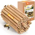 Produktbild: BEESI 100x Bambusröhrchen für Insektenhotel I 14 cm Länge I Bambus für Bienenhotel I Füllmaterial Wildbienen Zubehör