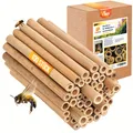 Produktbild: BEESI Bambusröhrchen für Insektenhotel I 14 cm Länge I Bambus für Bienenhotel