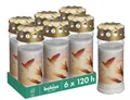 Produktbild: Grablicht - Weiß - Set 6 Stück - Länge Brenndauer 120 Stunden - Trauerkerze &...