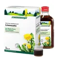 Produktbild: Löwenzahn Saft Schoenenberger HPS · 3X200 ml · PZN 00700051