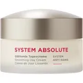 Produktbild: ANNEMARIE-BOeRLIND Gesichtspflege SYSTEM-ABSOLUTE-Glättende Tagescreme 50 ml (919,80 € / 1 l)