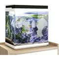 Produktbild: Aquaristikwelt24 - hne 300 Nano Aquarium – 13 l mit led & Filteranlage
