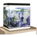 Produktbild: Aquaristikwelt24 - Hne 300 Nano Aquarium – 13 L Mit Led & Filteranlage