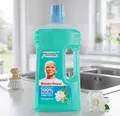 Produktbild: MEISTER PROPER Meister Proper Allzweckreiniger Frühlingserwachen, 1 l Allzweckreiniger