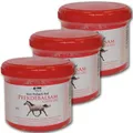 Produktbild: 3x Pferdebalsam Chili Gel 500ml vom Pullach Hof  Massage wärmend