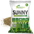 Produktbild: Greenyp® Sunny I dürreresistenter Trockenrasen I 0,2kg für 10m² I Grassamen Rasensamen Rasensaat Gras Nachsaat schnellkeimend