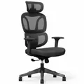 Produktbild: Ergonomischer Bürostuhl BS5BB schwarz, verstellbare Armlehnen, schwarz - A