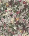 Produktbild: Vliestapete Rasch Passepartout Blumen Blume Floral lila bunt 605631 (5,02€/1qm)