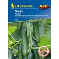 Produktbild: Schlangengurke Midios Cucumis sativus, Inhalt 5 Korn Gurke - Kiepenkerl