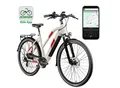 Produktbild: Zündapp Z810 E Bike Damen Trekkingrad ab 165 cm Elektrofahrrad 550 Wh Pedelec Trekking Rad Fahrrad mit 8 Gang und Beleuchtung StVZO