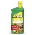 Produktbild: Neudorff Azet UniversalDünger – 100% natürlicher Bio Dünger für alle Pflanzen fördert kräftiges Wachstum, reiche Ernte und üppige Blütenbildung, 1 Liter
