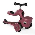Produktbild: Scoot & Ride Highwaykick 1 Lifestyle Kickboard mit Sitz und Aufbewahrungsbox Kinderroller Scooter 2in1 Laufrad ab 1 2 Jahren mitwachsender Lenker Höhenverstellbar werkzeuglos Wildcat