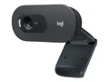 Produktbild: Logitech C505 - Webcam - Farbe - 720p - feste Brennweite