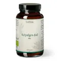 Produktbild: KELPALGEN-Jod Bio Kapseln Erdling 120 St