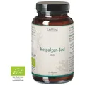 Produktbild: Kelpalgen-jod Bio Kapseln Erdling