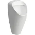 Produktbild: Absaug-Urinal Laufen Caprino Plus 320 x 645 x 350 mm, spülrandlos mit Steuerung 230V und, Bluetooth, weiß - H8410650004011