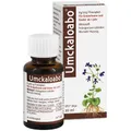 Produktbild: Umckaloabo flüssig 20 ml Flüssigkeit