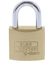 Produktbild: Burg-Wächter Vorhängeschloss C-Line 222 25 SB inkl. 2 Schlüssel Bügelstärke 4 mm