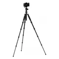 Produktbild: Rollei Compact Traveler No. 1 schwarz Stativ inkl. Panorama-Kugelkopf
