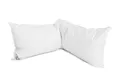 Produktbild: Kopfkissen HS19 Seitenschläferkissen 145x40 cm 2000 Gramm Schwangerschaftskissen, Füllung: 70% Daunen, 30% Federn, Bezug: Baumwolle, Rückenschläfer, Seitenschläfer, Bauchschläfer, Schadstoffgeprüft