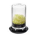 Produktbild: GEFU Sprossenglas BIVITA - Keimglas für Sprossen und Keimlinge - Sprossen K ...