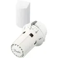 Produktbild: Thermostat Typ RAW5012 Heizkörperthermostat weiß raw 5012 mit Fernfühler 2m 013G5012 - Danfoss