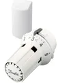 Produktbild: Danfoss Thermostatkopf RAW 5012 mit 2m Fernfühler Thermostatfühler 013G5012