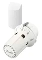 Produktbild: Danfoss Fernfühler RAW 5012 0-2 Meter Kapillarrohr, 013G5012