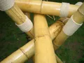 Produktbild: 5 Stück Bambus - Stangen Bambushalm Bambusrohr  200cm lang 8-10 cm Durchmesser
