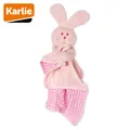Produktbild: Karlie Plüsch Welpenspielzeug mit Schmusedecke - Puppy Spielzeug mit Squeaker