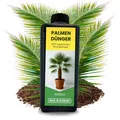 Produktbild: Hanfpalmendünger 1L Hanfpalme Dünger Palmendünger 1 Liter drinnen draußen