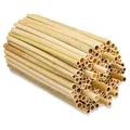 Produktbild: BEESI 500x Naturbelassen Niströhren für Wildbienen aus Schilf 14 cm lang