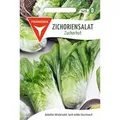 Produktbild: FRANKONIA Zichoriensalat Zuckerhut