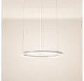 Produktbild: s.luce Pendelleuchte LED Pendelleuchte Ring 60 direkt oder indirekt 5m Abhängung Weiß, Warmweiß
