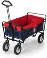 Produktbild: DS Direkt - Fußballverein Klapp-Bollerwagen faltbar Strandwagen Handwagen Verein