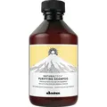 Produktbild: Davines Naturaltech Purifying Shampoo 250 ml