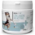 Produktbild: ReaVET Collagen Reactive – Premium Kollagenpulver für Hunde I Gelenkpulver zur täglichen Gelenkpflege I Kollagen Unterstützt Gelenke, Beweglichkeit & Bindegewebe 250g