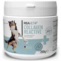 Produktbild: REAVET Collagen Reactive 250g Gelenkpulver für Hunde in Premiumqualität