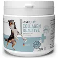 Produktbild: REAVET Collagen Reactive Gelenkpulver für Hunde 250g – in Premiumqualität
