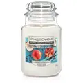 Produktbild: Pomegranate & Coconut 538g