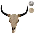 Produktbild: Mendler Deko Schädel 45cm HWC-T454, Polyresin Stier Bulle Longhorn Kopf Trophäe, In-/Outdoor ~ Variantenange 57015