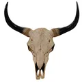 Produktbild: Mendler Deko Schädel 45cm HWC-T454, Polyresin Stier Bulle Longhorn Kopf Trophäe, In-/Outdoor - naturfarben