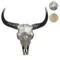 Produktbild: Deko Schädel 45cm HWC-T454, Polyresin Stier Bulle Longhorn Trophäe, In-/Outdoor