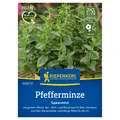 Produktbild: Kiepenkerl Saatgut Pfefferminze 'Spearmint', grün