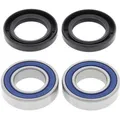 Produktbild: Radlagersatz ALL BALLS AB25-1569