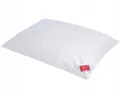Produktbild: HEFEL Schlafkissen 80 x 40 cm, Weiß